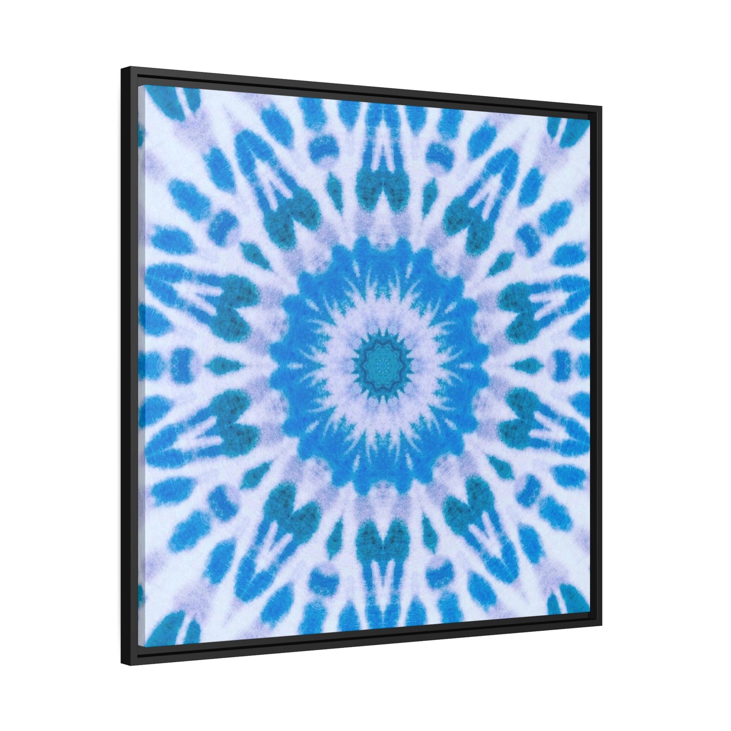 E-VEIL EYE Matte Canvas, Black Frame