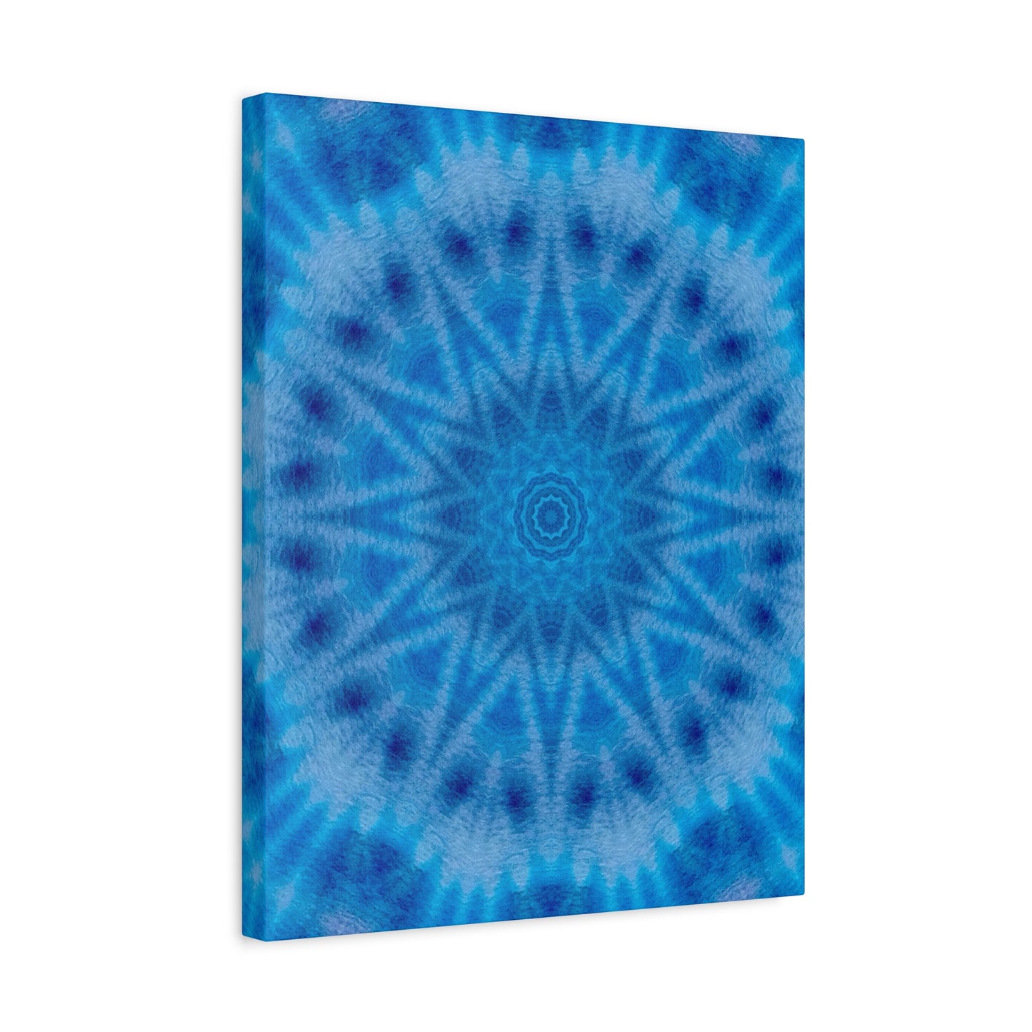 "AVIAN" Canvas Art Print - Stretched Matte 1.25" Gallery Wrap