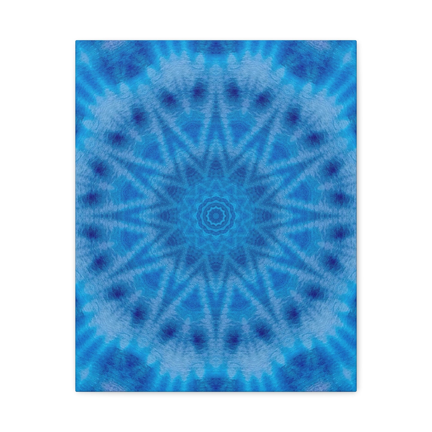 "AVIAN" Canvas Art Print - Stretched Matte 1.25" Gallery Wrap