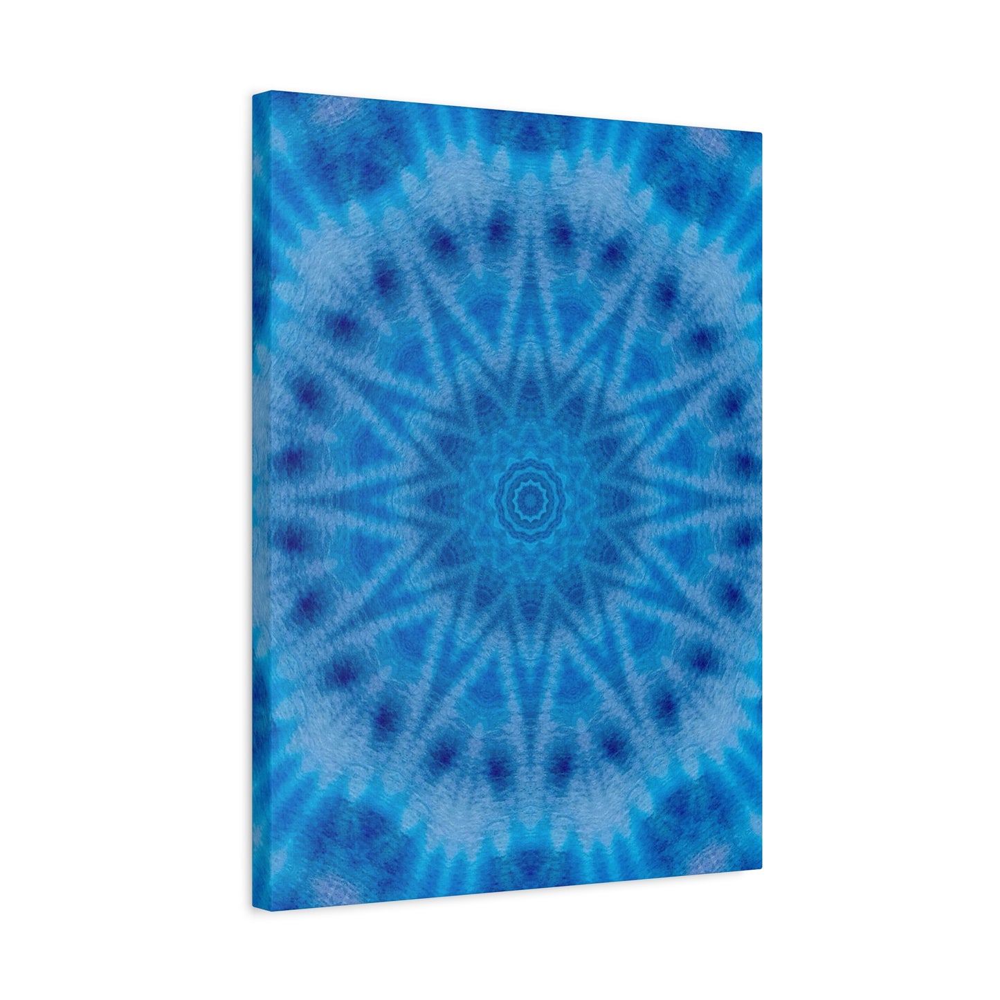 "AVIAN" Canvas Art Print - Stretched Matte 1.25" Gallery Wrap