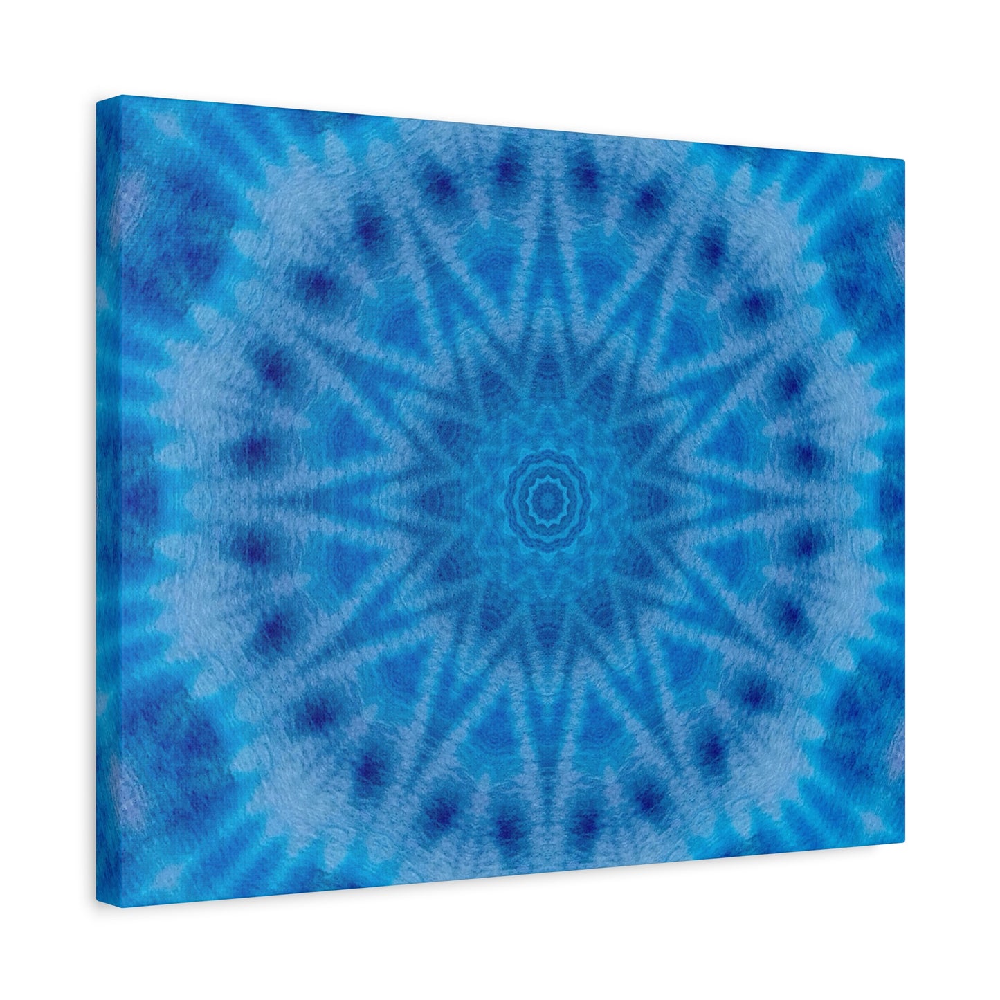 "AVIAN" Canvas Art Print - Stretched Matte 1.25" Gallery Wrap