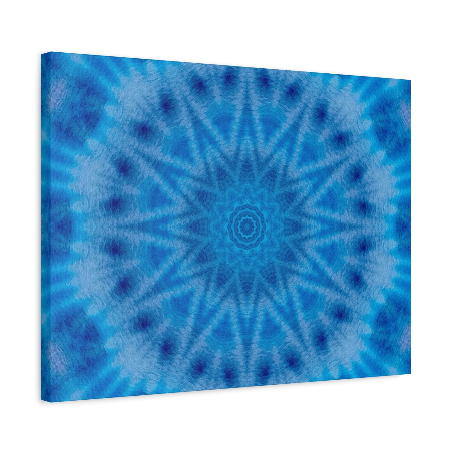 "AVIAN" Canvas Art Print - Stretched Matte 1.25" Gallery Wrap