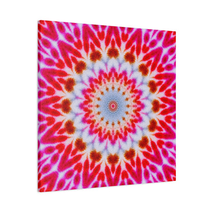 "COM.PL3X" Cymatic Canvas Art Print - Stretched Matte 1.25" Gallery Wrap