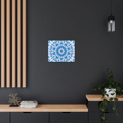 “E-VEIL EYE” Canvas Gallery Wrap